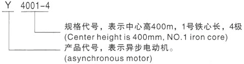 西安泰富西瑪Y系列(H355-1000)高壓三相異步電機型號說(shuō)明