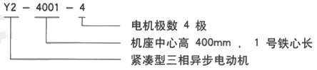 YR系列(H355-1000)高壓三相異步電機西安西瑪電機型號說(shuō)明
