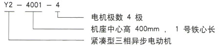 Y2系列三相異步電機技術(shù)參數——西安泰富西瑪電機（西安西瑪電機集團股份有限公司）官方網(wǎng)站