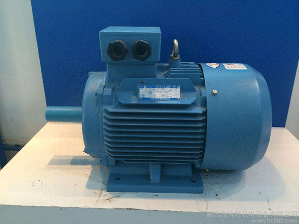 高效節能電機是西安泰富西瑪未來(lái)商業(yè)發(fā)展的方向。