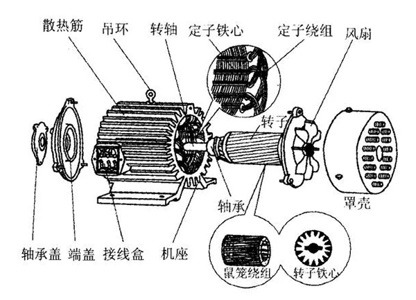 三相異步電動(dòng)機的六種分類(lèi)方法及具體分類(lèi)。